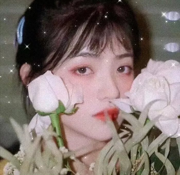 连环情杀案